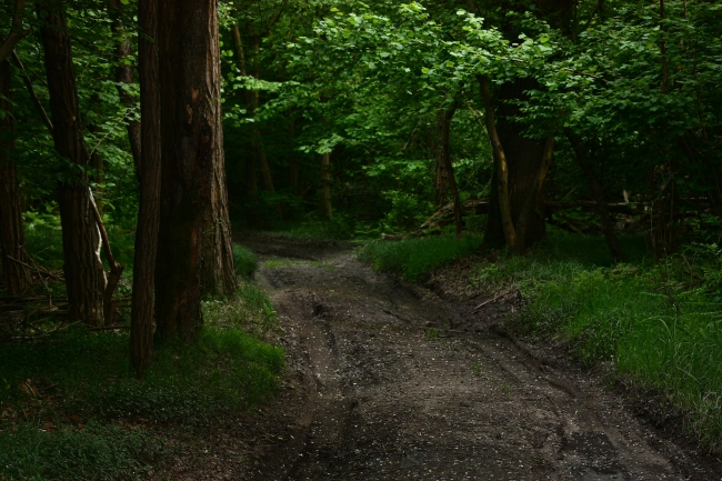 Eteroceri Parco del Ticino